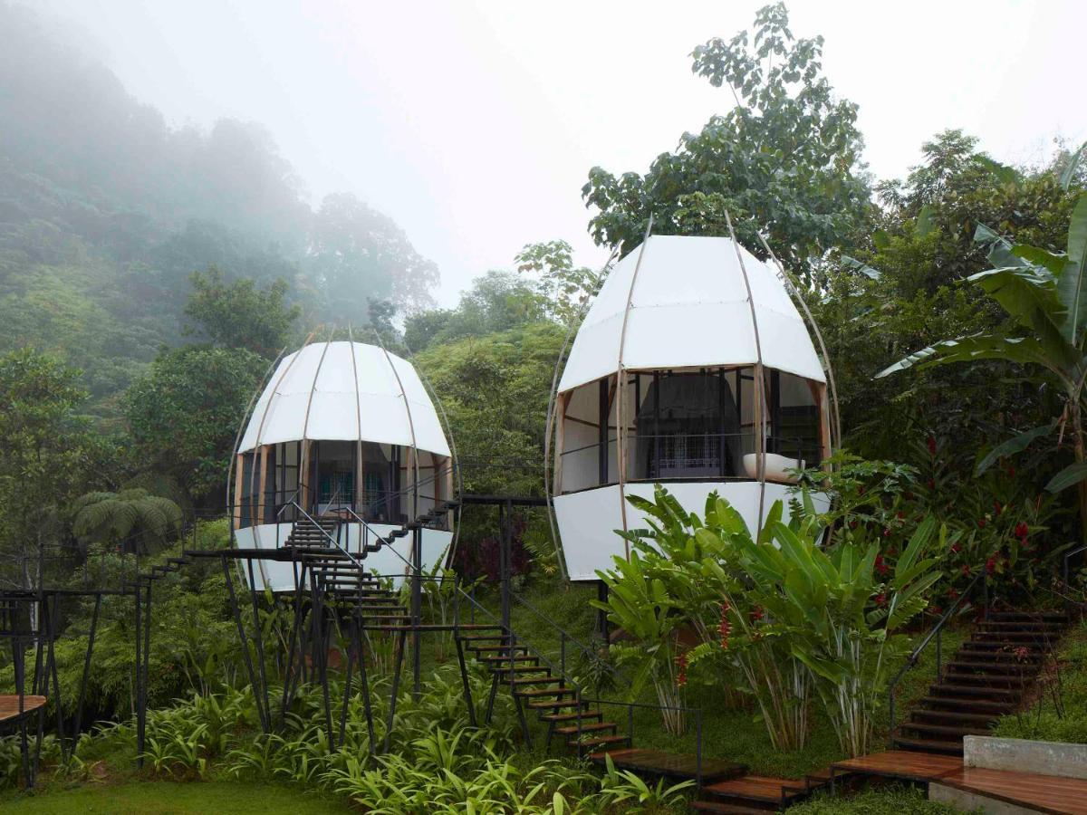 Art Villas Costa Rica, Villas & Glamping Uvita Dış mekan fotoğraf