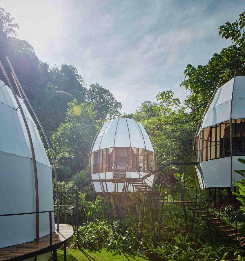 Art Villas Costa Rica, Villas & Glamping Uvita Dış mekan fotoğraf